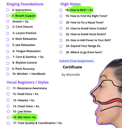 Singing Course Content List – ✅FREE Version