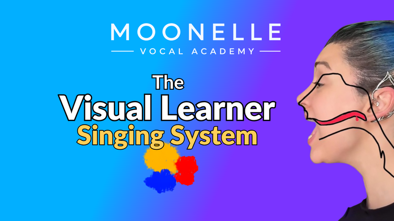 The Visual Learner Singing System - Special Offer
